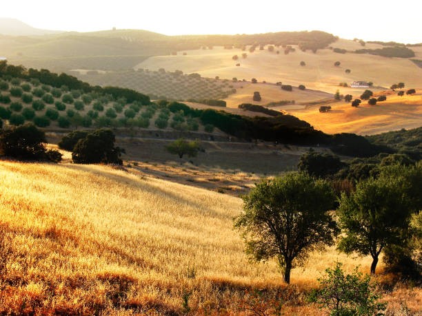 A Journey Through Southwestern Spain - April 17th 7 PM